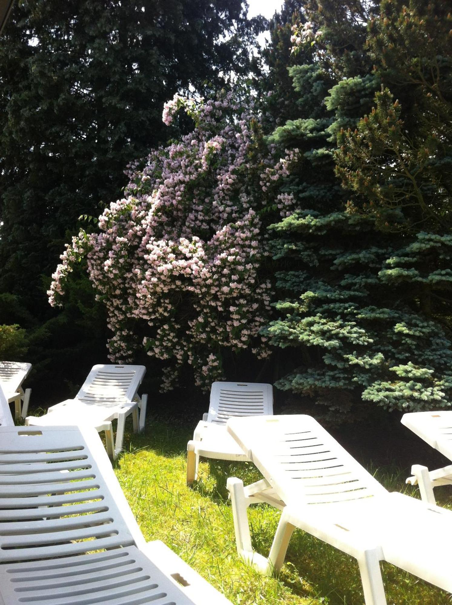 Zimmer Weiss Altenstädt Buitenkant foto
